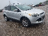 1FMCU0JXXEU****** Salvamento y Destrozados 2014 Ford Escape en Indianapolis