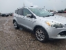 1FMCU0JXXEU****** Salvamento y Reparables 2014 Ford Escape en Estado de Indiana