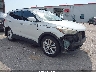 5XYZW4LA0GG****** Salvage and Wrecked 2016 Hyundai Santa Fe in Kansas City East