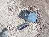 1GT12TEG6GF****** Wrecked 2016 GMC Sierra 2500 HD in Montana State