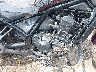 JH2SC8310NK****** Destrozados 2022 Honda Rebel 1100 en Rec Rides Online Exclusive
