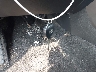 JTMRK4DV8A5****** Salvamento 2010 Toyota RAV4 en Estado de Pennsylvania