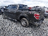 1FTRW14849K****** Salvage and Repairable 2009 Ford F-150 in Shady Spring