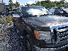 1FTRW14849K****** Salvage and Repairable 2009 Ford F-150 in West Virginia State