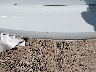 1VWAT7A35HC****** Destrozados 2017 Volkswagen Passat en Estado de Texas