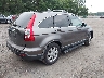 5J6RE48789L****** Salvage and Wrecked 2009 Honda CR-V in Maryland State