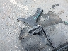 7MMVABBM9RN****** Repairable 2024 Mazda CX-50