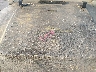 2J4FY29S4NJ****** Repairable 1992 Jeep Wrangler in Fort Worth North