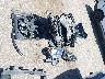 1C4RDHDG8HC****** Wrecked 2017 Dodge Durango in Texas State