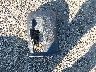 KMHCT5AE3GU****** Wrecked 2016 Hyundai Accent in Alabama State