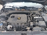 3KPF24AD3KE****** Repairable 2019 Kia Forte in Bridgeport