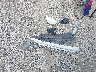 3FA6P0H71DR****** Wrecked 2013 Ford Fusion in Pennsylvania State