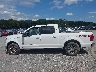 1FTEW1EF5HF****** Salvage 2017 Ford F-150