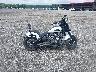 56KDLCAG1R3****** Destrozados 2024 Indian Chief en Estado de Maryland