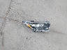 5J6RW2H86HL****** Destrozados 2017 Honda CR-V en Estado de Nueva York
