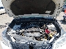 JF2SJAVC6GH****** Reparables 2016 Subaru Forester en Wichita