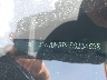 3GN7DMRP4SS****** Used and Repairable 2025 Chevrolet Equinox EV in Electric Vehicle Auctions