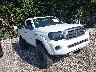 5TEPX42N59Z****** Salvage and Wrecked 2009 Toyota Tacoma in Indianapolis