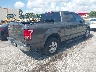 1FTEW1CG9HK****** Salvage and Wrecked 2017 Ford F-150 in Florida State