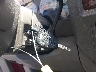 3D7KR19D36G****** Salvamento 2006 Dodge Ram 1500 en Estado de Florida