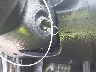 KNAFK4A61E5****** Salvamento 2014 Kia Forte en Estado de Ohio