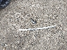 2T3YK4DV0AW****** Destrozados 2010 Toyota RAV4 en Estado de Massachusetts