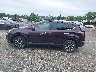 2T3DFREVXGW****** Reparables 2016 Toyota RAV4 en Estado de Pennsylvania