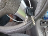 1G1ZG57B49F****** Salvage 2009 Chevrolet Malibu in New York State