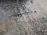 5NPE24AF5JH****** Wrecked 2018 Hyundai Sonata in Ohio State