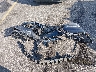 WDDHF5KB7CA****** Wrecked 2012 Mercedes-Benz E-Class in South Carolina State