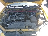 JM1BJ245431****** Reparables 2003 Mazda Protege en Raleigh