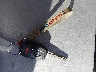 JHMGD38658S****** Salvage 2008 Honda Fit in New Hampshire State