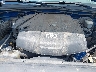 3TMJU62N08M****** Repairable 2008 Toyota Tacoma in West Palm Beach
