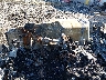 1FTFW1E51PF****** Salvamento 2023 Ford F-150 en New Castle