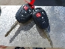 4T1BF1FK6FU****** Salvamento 2015 Toyota Camry en Estado de California