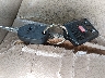 1FTPW14V07F****** Salvage 2007 Ford F-150 in Pennsylvania State