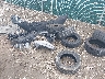 1FMCU0GD0HU****** Destrozados 2017 Ford Escape en Estado de Ohio