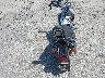 1HD1BLL16RY****** Salvage and Repairable 1994 Harley-Davidson Fxsts in Georgia State