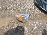 4M2DU86PXYU****** Wrecked 2000 Mercury Mountaineer in Ohio State