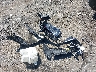 4T1B11HK1KU****** Wrecked 2019 Toyota Camry in Virginia State