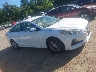 5NPE24AF5KH****** Usados 2019 Hyundai Sonata en Estado de Massachusetts