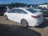 5NPE24AF5KH****** Salvamento y Reparables 2019 Hyundai Sonata en Templeton