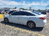5NPE24AF2GH****** Usados 2016 Hyundai Sonata en Estado de California