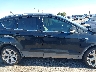 1FMCU0J93KU****** Repairable 2019 Ford Escape in Texas State