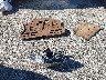 1FMCU0J93KU****** Wrecked 2019 Ford Escape in Texas State