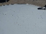 1G1PF5SCXC7****** Salvamento y Reparables 2012 Chevrolet Cruze en Estado de Texas