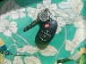 5TETX22N75Z****** Salvage 2005 Toyota Tacoma in Connecticut State