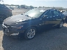 1G1ZB5ST3KF****** Usados y Reparables 2019 Chevrolet Malibu en Fort Worth North