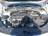 5XXGT4L33KG****** Repairable 2019 Kia Optima in San Diego