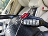 5N1AL0MM0FC****** Salvage 2015 Infiniti QX60 in Virginia State